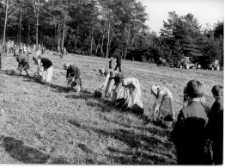 Święto Ziemniaka w Mońkach-Przytulance. 1976 rok. Fragment inscenizacji wykopki w przekroju historycznym.