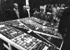 Święto Ziemniaka w Mońkach. 1980 rok. Wystawa rolnicza i ogrodnicza Płody ziemi.