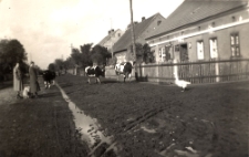 W okupowanym Kuślinie