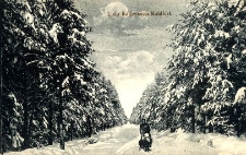 Droga Rothwasser (Czerwona Woda) - Kohlfurt(Węgliniec) 1921