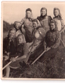 Sianokosy w Raciniewie. Lata 40. XX w.