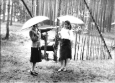 Obóz harcerski w Bierach