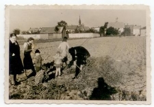 Dwudziestolecie międzywojenne. Edward Zajączek z rodziną na polu niedaleko cmentarza w Kętach