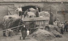 Sierpień 1966, Trzciel. Żniwa