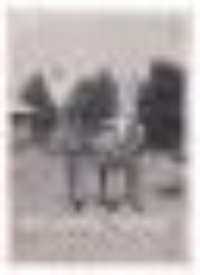 Obóz w Suchedniowie. "Hultajska Trójka"