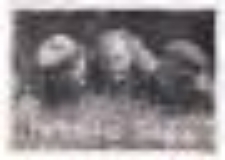 Obóz w Suchedniowie. "Hultajska Trójka"