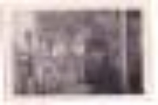 Łękawa Harcerska. Kurs drużynowych