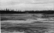 Kra na jeziorze Długim.