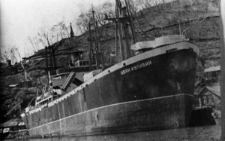 Statek "Iwan Kulibin" u wybrzeża Magadanu.