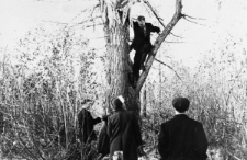 Na drzewie: Czesław Jakimowicz. Pod drzewem grupa ludzi NN. Zdjęcie z 1956 lub 1957 roku.