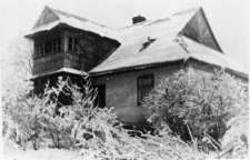 Ładny drewniany dom między krzewami.