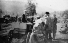 W&oacute;z, na nim siedzą dwie osoby, kilka innych stoi obok.