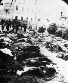 Trupy ułożone na trawie, w oddali budynek i ludzie w mundurach.