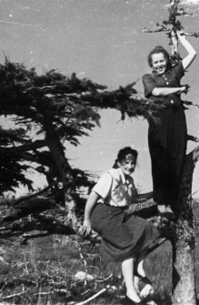 Dwie kobiety na drzewie. Stoi: Janina Durlik, siedzi Zdzisława Paczosińska.