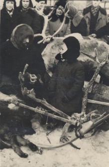 Nienieckie sanie z rogów reniferów, z tyłu stoi Anna Szyszko.