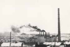 Dymiące kominy jedynej w regionie elektrowni (TEC-1).