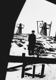 Plac drzewny kopalni nr 1.