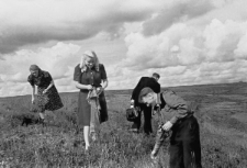 Wycieczka do tundry, od lewej: Bronisława Kutiuk, Czesława Hnatów, Franciszek Sitnik (tyłem), Jerzy Urbankiewicz (vel. Michał Pełka).