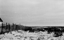 Za płotem widoczny jeden z cmentarzy, funkcjonujący koło obozu przy kopalni nr 1 od 1953 roku.