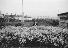 Anna Szyszko w tundrze przed ogrodzeniem łagru, w tle baraki obozu cegielni nr 2.