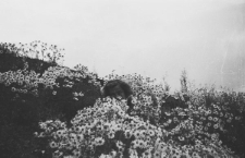 Anna Szyszko wśr&oacute;d kwiat&oacute;w.