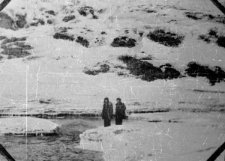 Tundra w drugiej połowie maja.