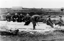 Polacy, więźniowie łagpunktu nr 101 Ozierłagu, przy struganiu bali.