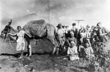 Polska (?) brygada z wielbłądem Jaszką. Wielbłąda trzyma Musia Piętnicka, na płużku siedzi jej siostra Lusia, a obok i przed nią Rosjanki. Stoją od lewej: NN, Irka Jacyszyn, Zemła (z grabiami), Jacyszynowa, Zofia Wandurska (z motyką na ramieniu), NN i Edward Kulczycki. Fotografia wykonana latem 1941 roku prawdopodobnie przez reportera gazety "Leninkty żoł" lub "Stalinkty żoł".