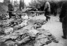 Ekshumacja mogił polskich oficerów.