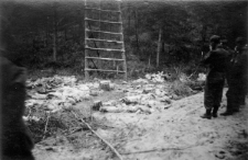 Ekshumacja mogił polskich oficerów.