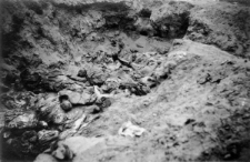 Ekshumacja mogił polskich oficerów.