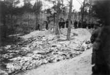 Ekshumacja mogił polskich oficerów.