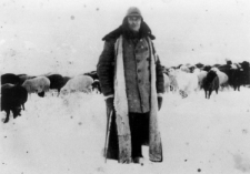 Zesłaniec pilnujący stada owiec.