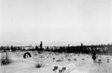 Cmentarz łagru przesyłowego OŁP-5, w tle zabudowania dawnego łagru.