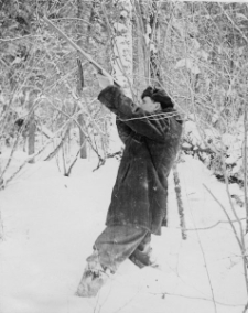 Polowanie na wiewiórki.