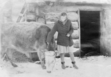 Czesława Dziemirów z krówką.