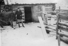 Czesława Dziemirów z krówką.