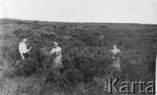 Workucka tundra; trzy osoby wśród zarośli.