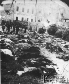 Trupy więźniów lwowskiego więzienia "Brygidki" leżące na dziedzińcu. Więźniowie zostali wymordowani przez NKWD podczas wycofywania się wojsk sowieckich ze Lwowa.