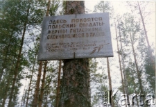 Tablica upamiętniająca polskich żołnierzy, "ofiary hitleryzmu" na cmentarzu w Jogle.