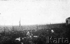 Deportowani Polacy podczas pracy w kołchozie - dojenie kołchozowych krów, owiec i kóz. Na zdjęciu Jadwiga Tumiłowicz i Łucja Gilejko. Normę stanowiło wydojenie 14 krów trzy razy dziennie oraz obrządek przy zwierzętach.