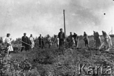 Polacy deportowani do Kazachstanu podczas pracy w stepie. W centrum z klubą w ręku brygadzista Edward Kulczycki (zmarł na tyfus latem 1942 w Uzbekistanie jako żołnierz II Korpusu). Od lewej: Janina Piętnicka "Musia", Zemła (imię nieznane), jego synowa Pelagia Zemła, dwie nierozpoznane Rosjanki, Zofia Wandurska (schylona i częściowo zasłonięta przez brygadzistę), NN, Irena Jacyszyn, Lucyna (Lusia) Piętnicka, Jacyszynowa i NN. Zdjęcie wykonane pokryjomu przez fotografa rejonowej lub obwodowej gazety latem 1941 roku.