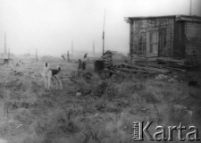 Jedna z bud mieszkalnych w dzielnicy Norylska tzw. Szanghaju, w tle fabryka niklu; zdjęcie z lat 1954-57.