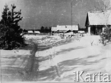 Pawłowsk na Syberii - osada leśna, w kt&oacute;rej mieszkali zesłańcy (gł&oacute;wnie z Litwy), pracujący przy zbieraniu żywicy dla Sowieckiego Kombinatu Chemicznego. Zdjęcie wykonał zesłaniec Bieliński, syn Wiktora, zlitwinizowany Polak pochodzący z okolic Poniewieża.
