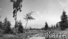Krajobraz Kołymy; zdjęcie wykonane w latach 50-tych.