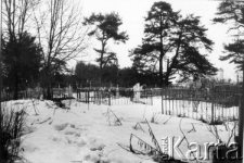 Cmentarz Trojeruczica.