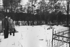 Cmentarz Trojeruczica, miejsce gdzie chowano Polaków z Niłowego klasztoru.