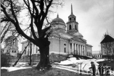 Dąb pamięci obok monastyru Niłowa Pustyń.