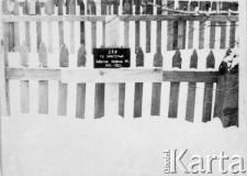 Mogiła Wiktora Hajdula zmarłego podczas zesłania w lutym 1955 r.