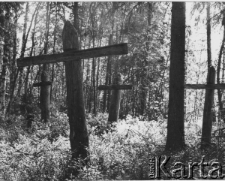 Cmentarz więźniów zmarłych podczas pobytu na Wyspach Sołowieckich.